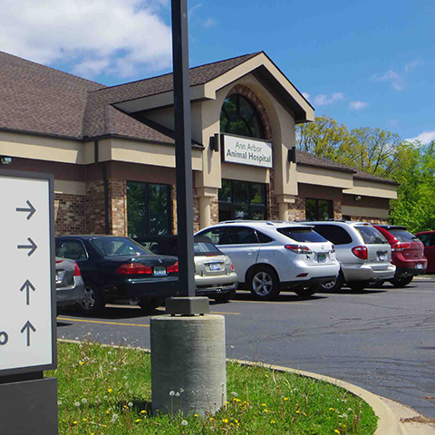 Ann Arbor Animal Hospital